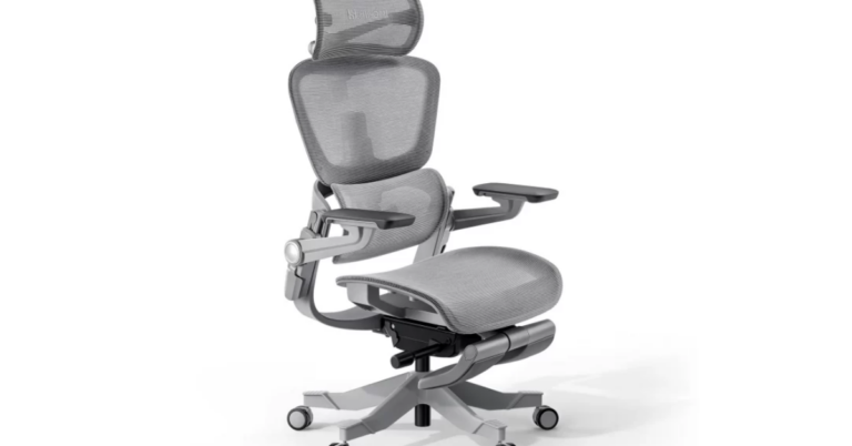 Hinomi Vs NextChair: Which Ergonomic Chair is the Best Choice?