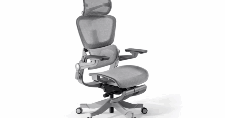 Ergonomic Office Chair Review: Premium Comfort and Support