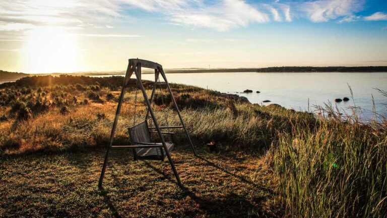 What Is Cricbet99 Winbuzz And How Does It Work?